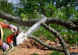 Best Mulching Services  in Loxley, AL